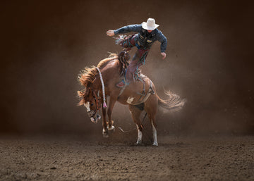 Bucking Rodeo Cowboy | Canvas