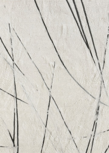 Organic Lines Texture | Canvas