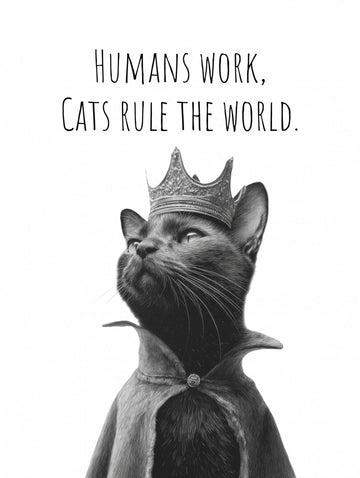 Majestic Cat King | Canvas
