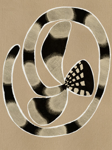 Delicate Bloom 5 | Poster