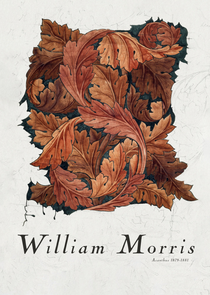 Acanthus | Canvas