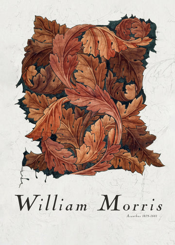 Acanthus | Canvas