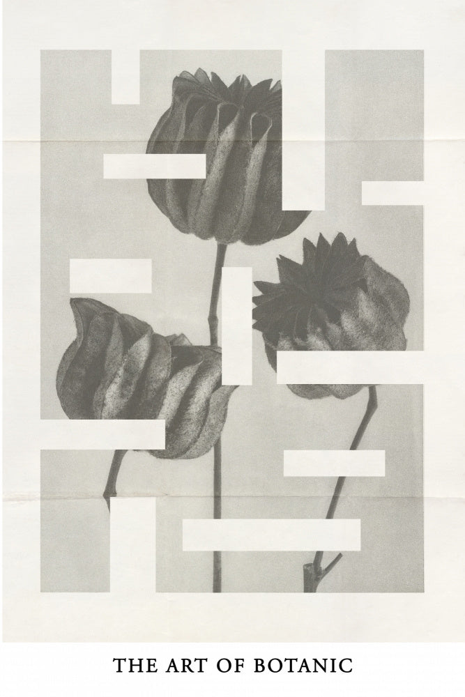 The art of botanic No.1 | Canvas