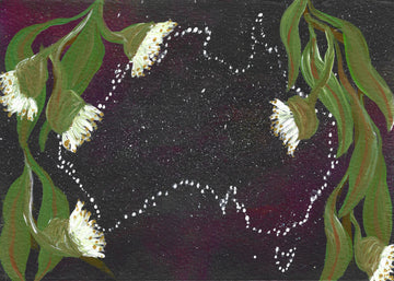 Starry Australian Blossoms | Canvas