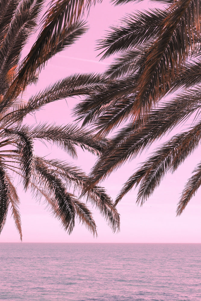 Pink Sky Tropical Palms | Canvas