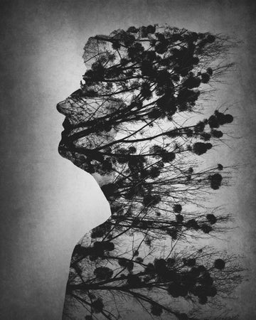 Mind of Nature | Canvas