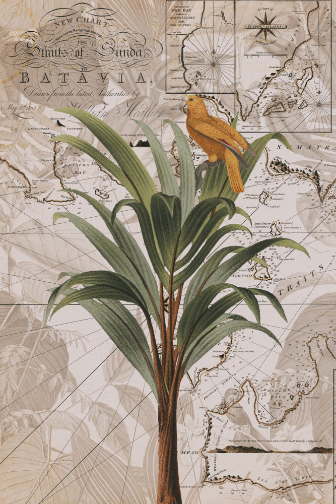 Tropical Map Bird | Poster