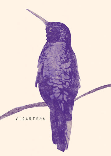 Elegant Violet Hummingbird | Poster