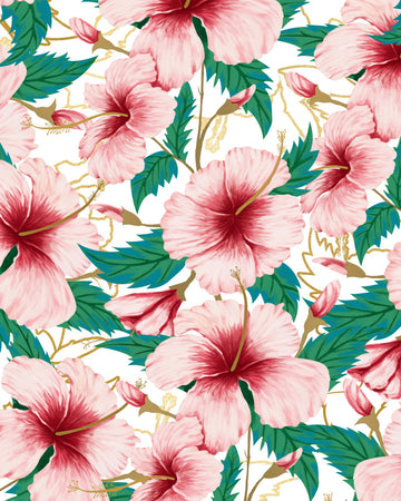 Tropical Pink Hibiscus | Poster