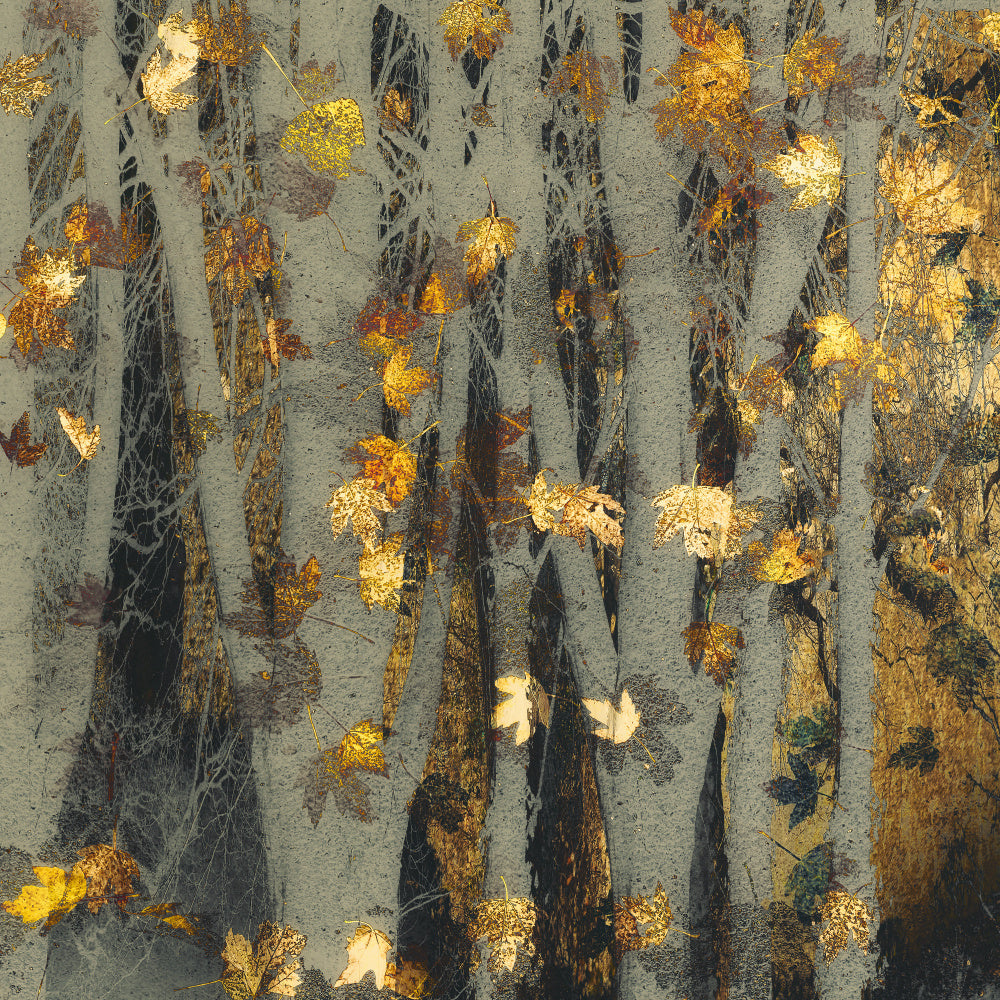 Gold leaf | Poster