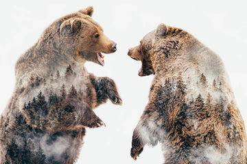 Roaring Forest Bears | Canvas