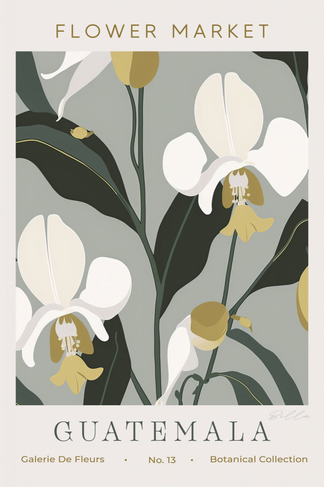 Tropical Guatemala Orchids | Poster