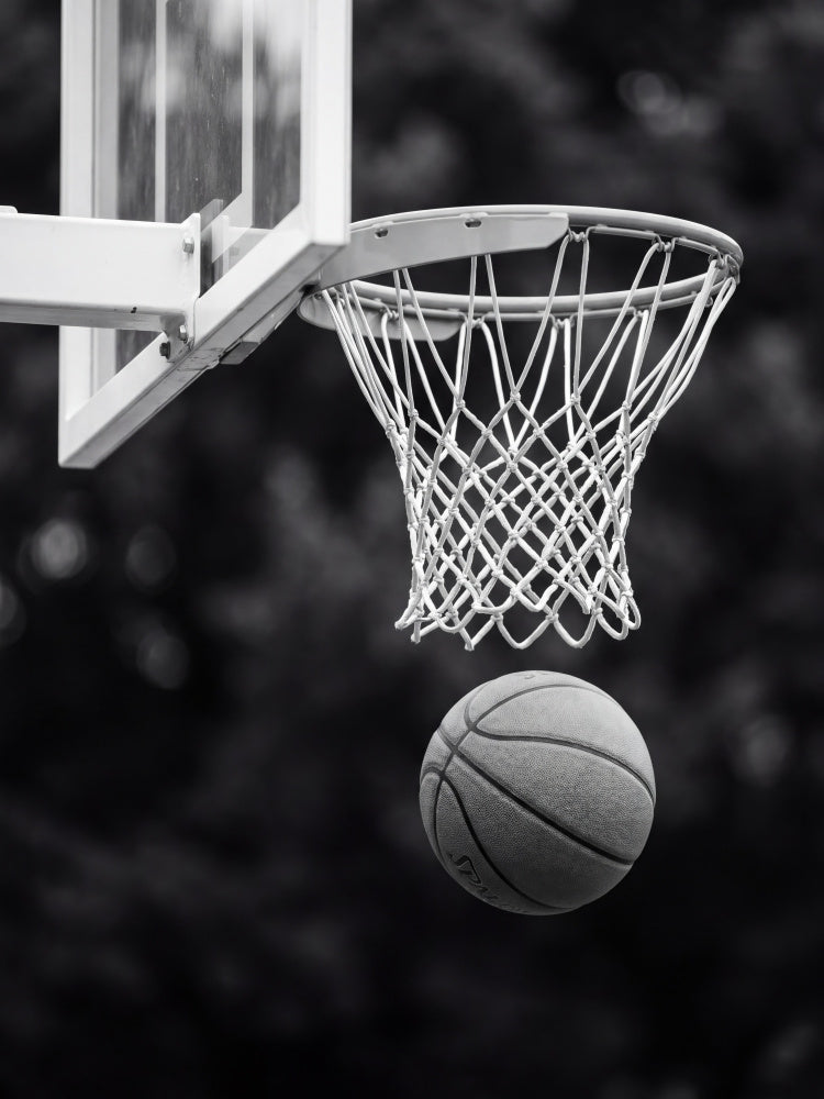 Basketball Hoop Shot | Poster