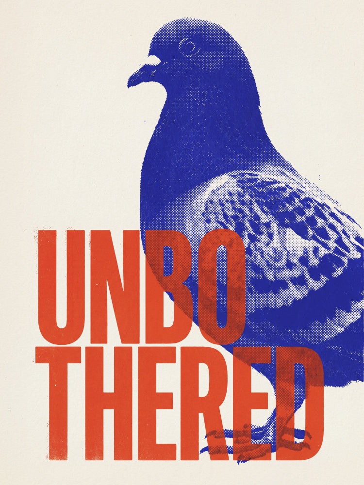 Unbothered Pigeon | Poster