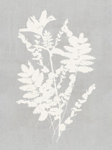 Botanical Silhouette Study | Canvas