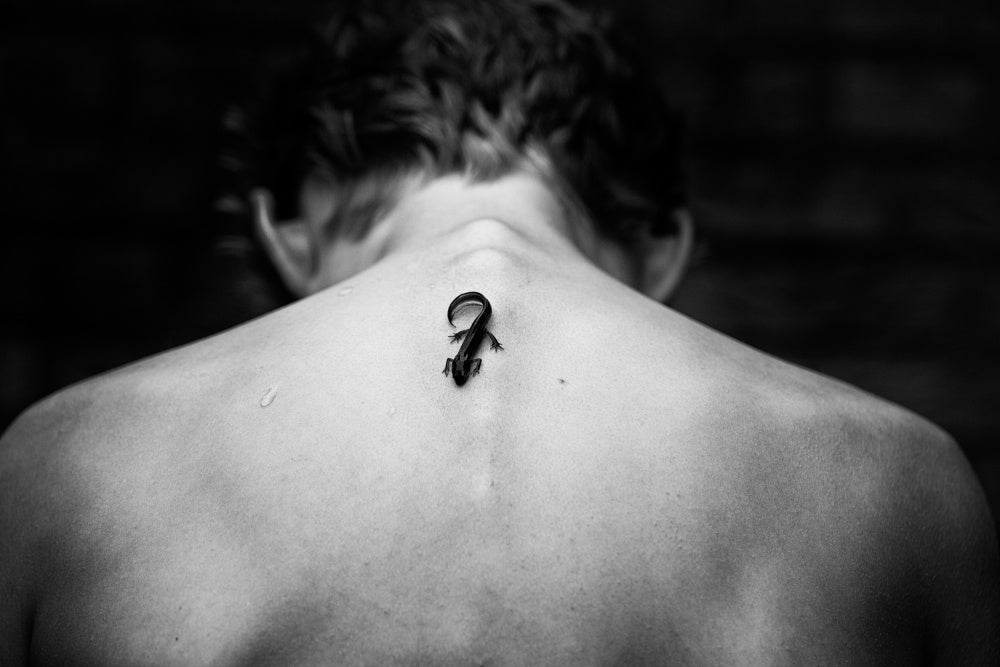Lizard On Bare Skin | Canvas