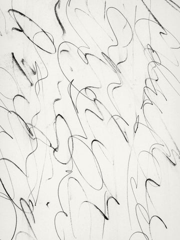 Script | Poster