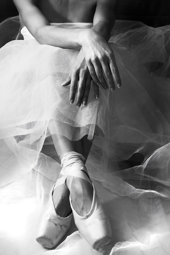 Graceful Ballerina | Canvas