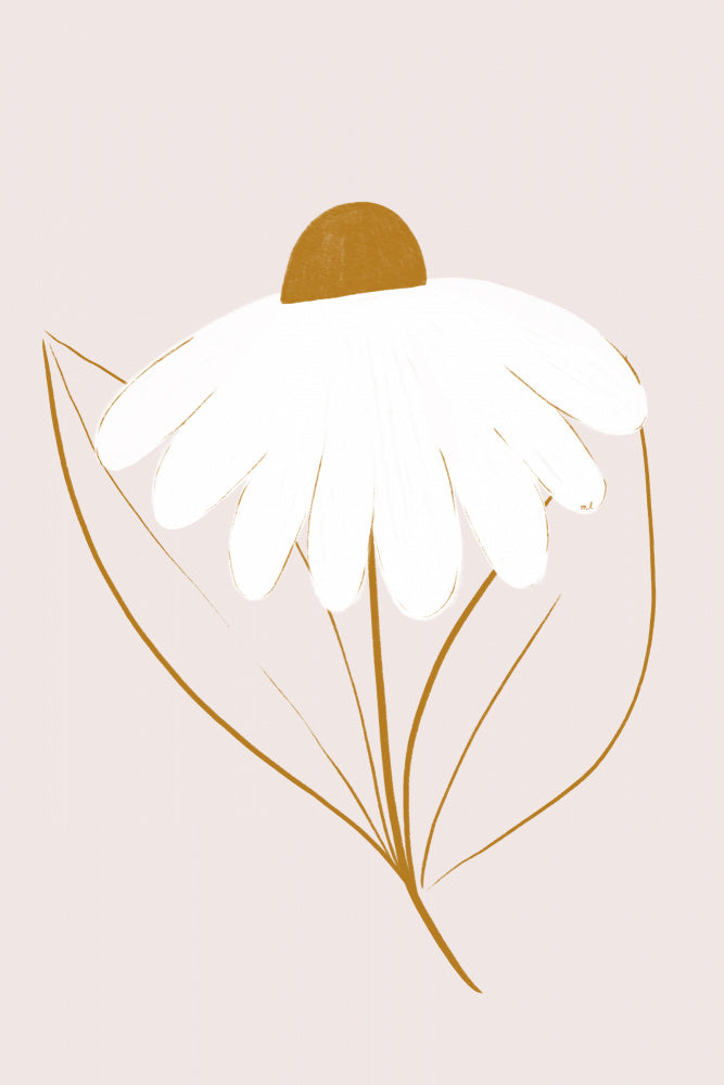 Minimalist Daisy Bloom | Canvas