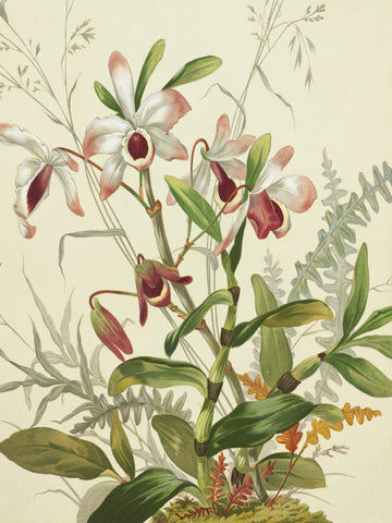 Flowers | Poster