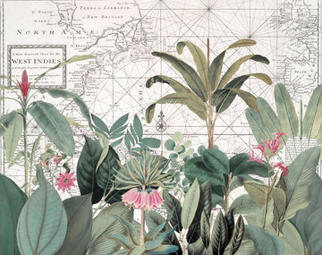 Vintage Map Botanicals | Canvas