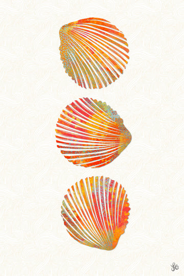 Vibrant Seashells | Canvas