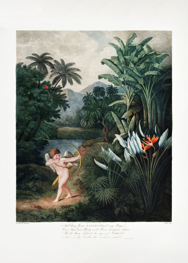 Cupid Inspiring Plants with Love from The Temple of Flora (1807) | Poster