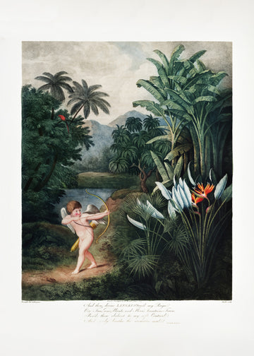 Cupid Inspiring Plants with Love from The Temple of Flora (1807) | Poster