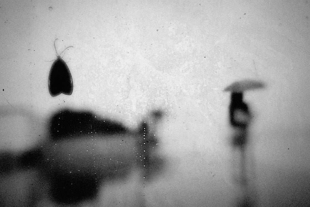 Moth and Umbrella Silhouette | Poster