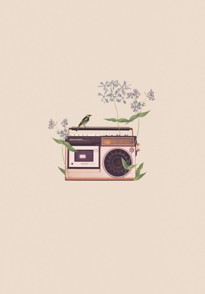 Boombox Bird Blossom | Canvas