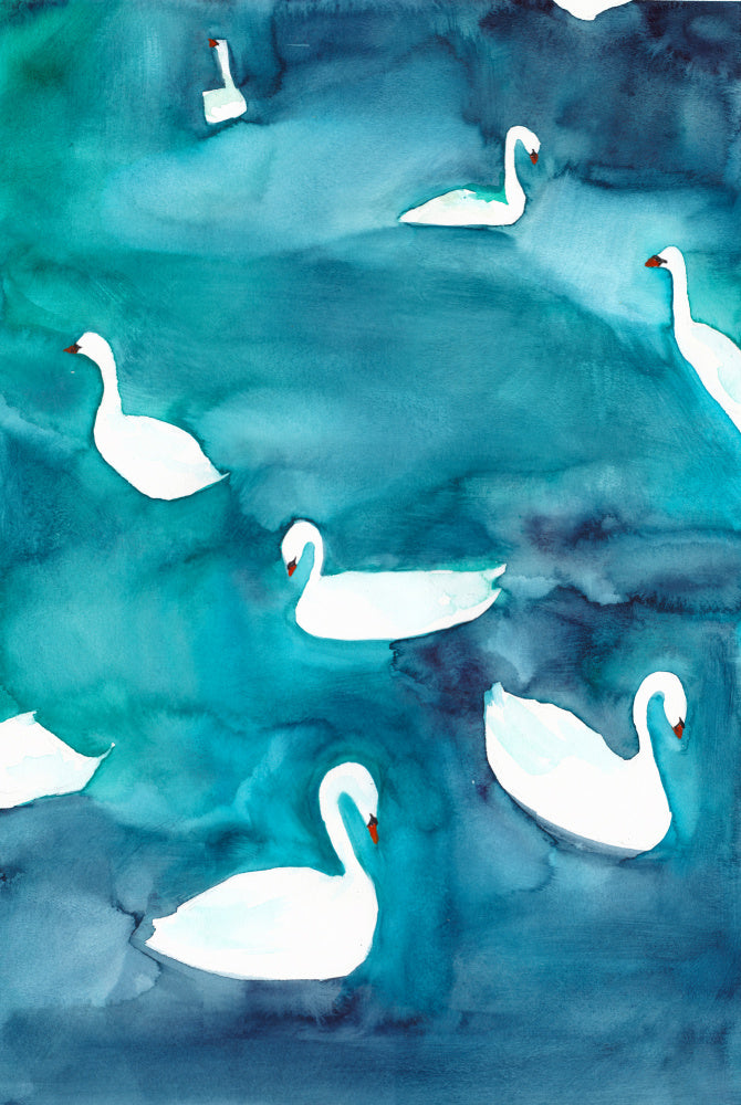 Graceful Swans on Water | Canvas