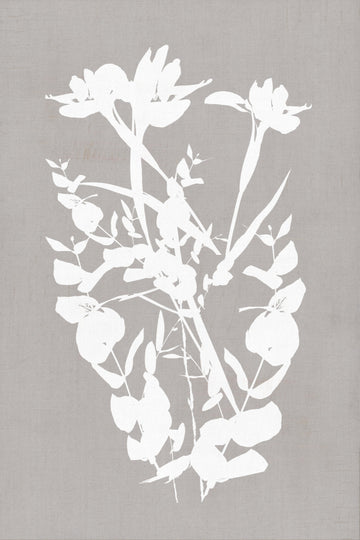 Modern Botanical Silhouettes | Poster