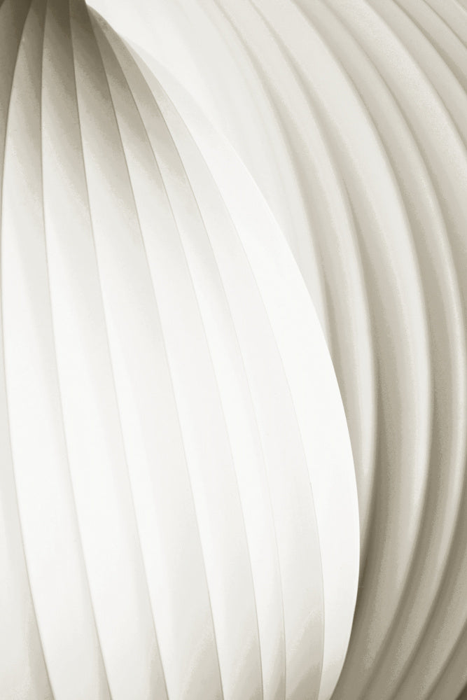 Soft Flowing Curves | Canvas