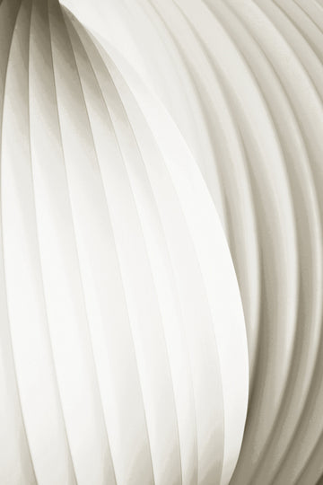 Soft Flowing Curves | Poster