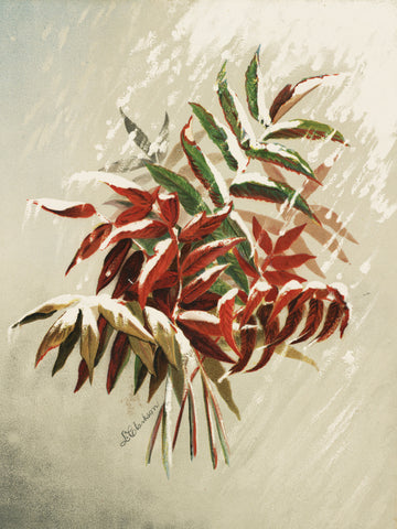 Leaves In Snow | Canvas