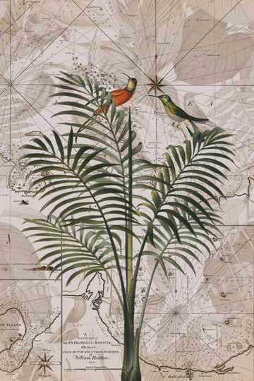 Tropical Birds on Vintage Map | Poster