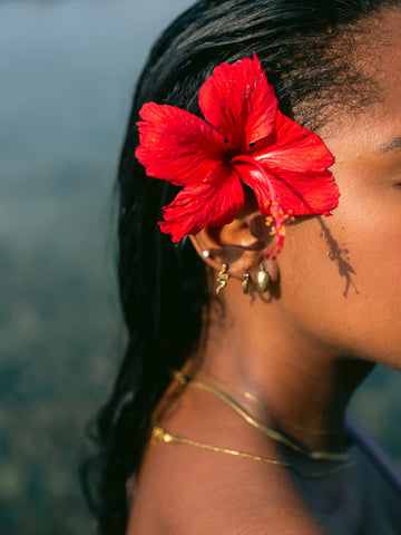 Hibiscus Serenity | Poster