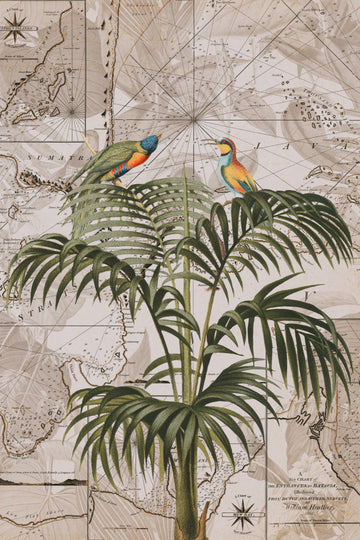Tropical Birds Vintage Map | Poster