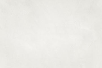 Subtle White Texture | Canvas