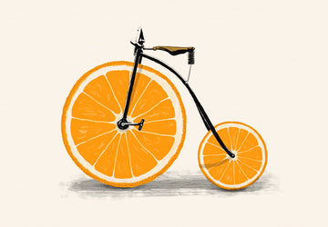 Orange Slice Bicycle | Canvas
