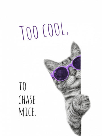 Too Cool Cat | Canvas