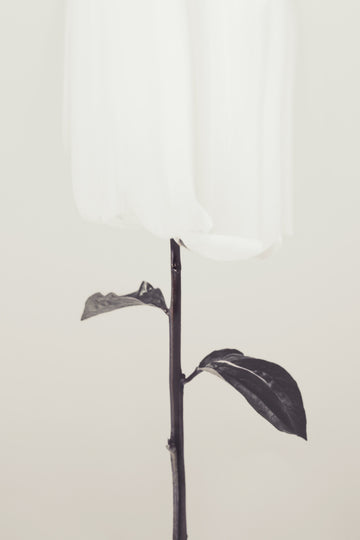 Ethereal Fabric Flower | Canvas