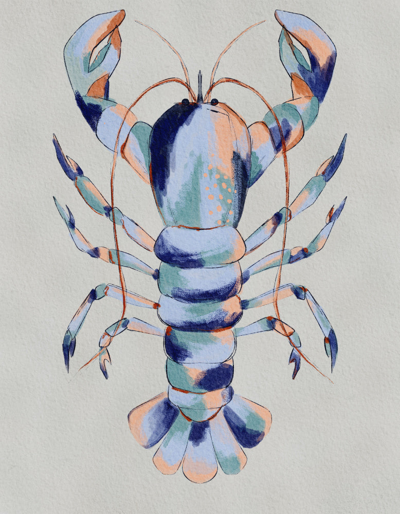 Colorful Blue Lobster | Canvas