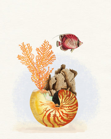 Nautilus Reef Life | Canvas