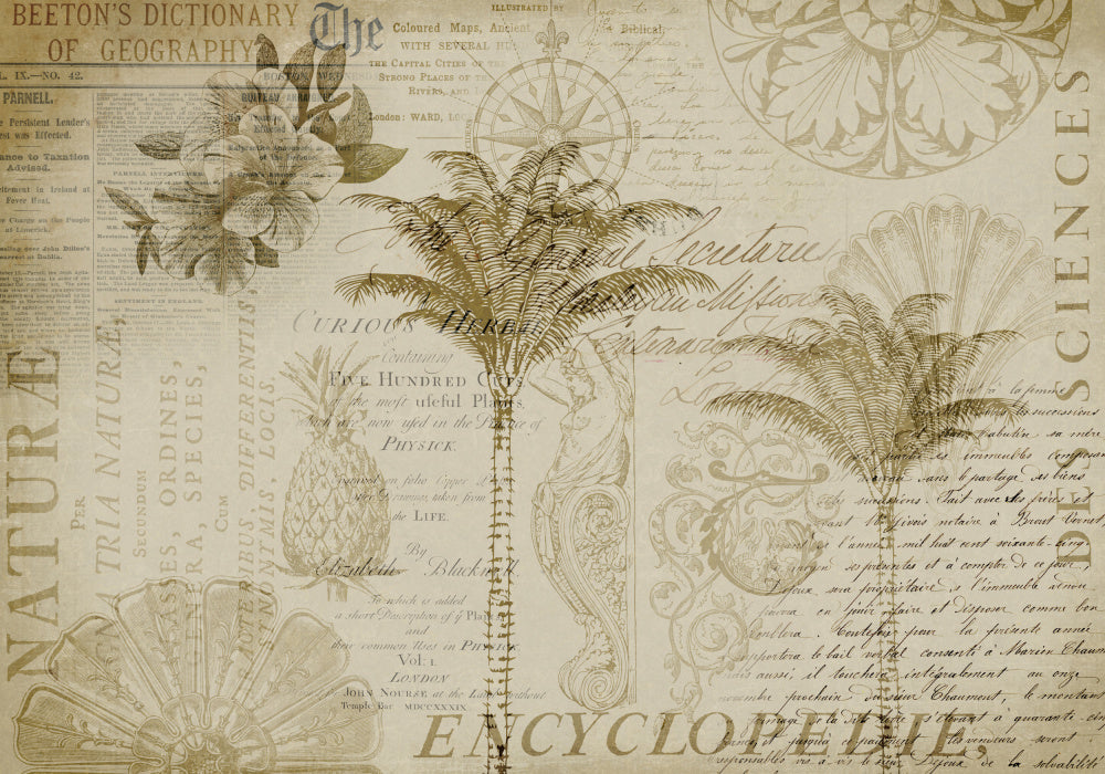 Tropical Botanical Exploration | Poster