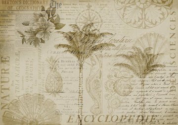 Tropical Botanical Exploration | Poster