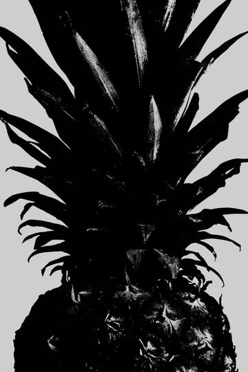 Bold Black Pineapple | Canvas