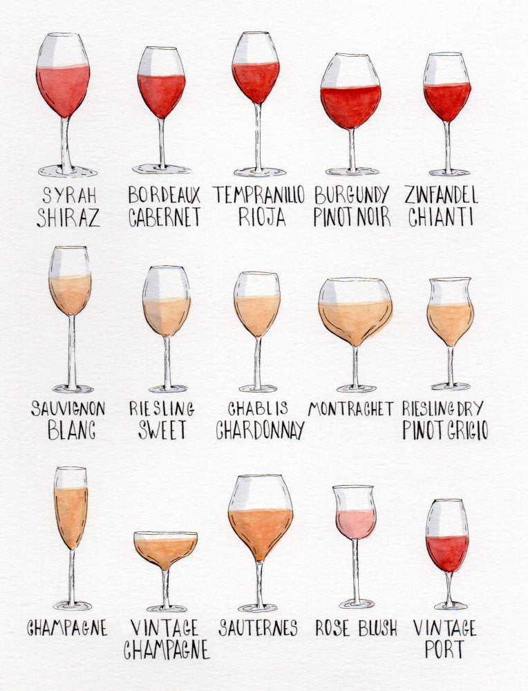 Wine Glass Varieties | Canvas