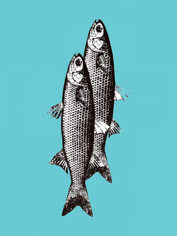 Vintage Fish Duo | Poster