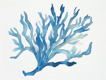 Blue Coral | Canvas